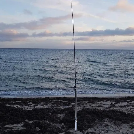 Semesterbostad 8 Person In Sydals-by Traum *