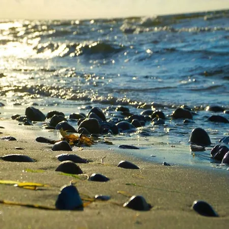 8 Person In Sydals-by Traum *